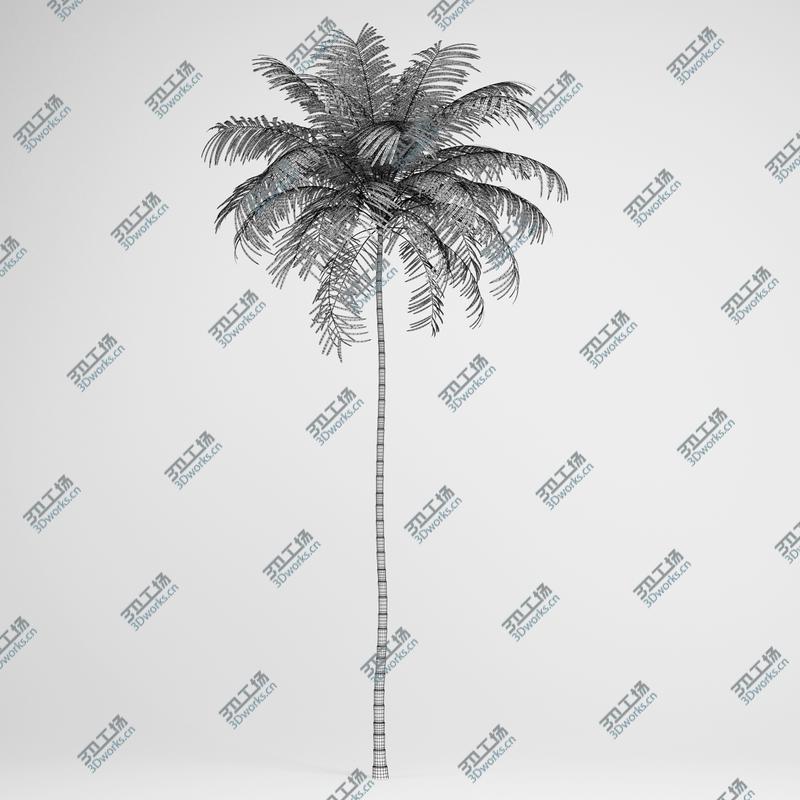 images/goods_img/20210319/CGAxis Models Volume 15 Exotic Plants/3.jpg